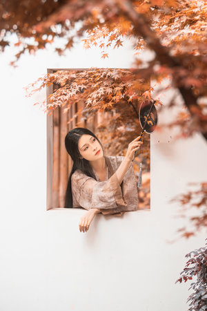 白洁传最终结局
